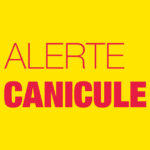 Documents d’information sur les risques liés à la canicule 2025